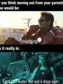 'The Avengers' Movie Memes