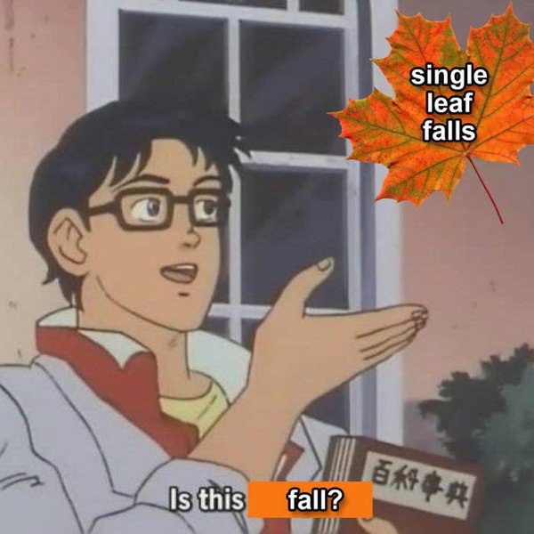 Fall Memes, part 2