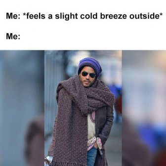 Fall Memes