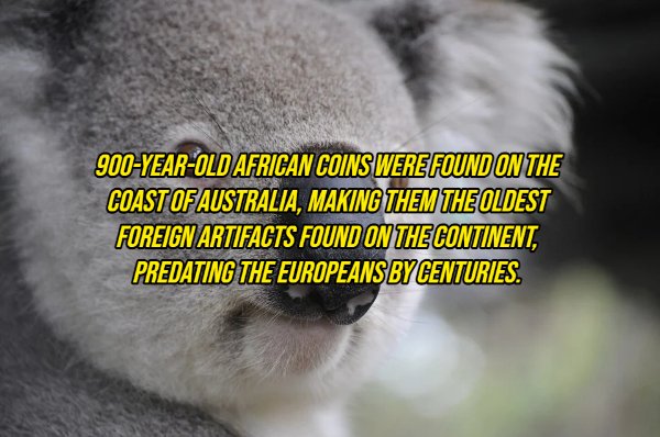 Interesting Facts, part 129