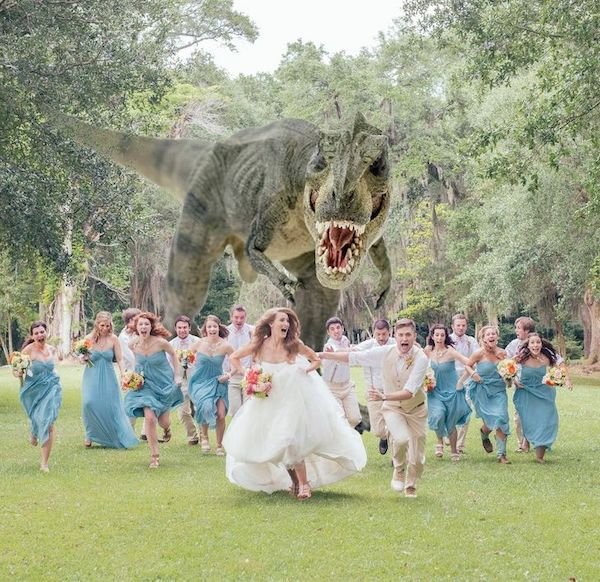 Unusual Weddings