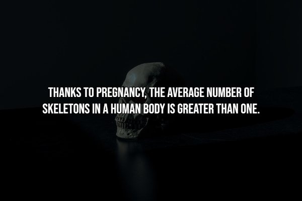 Intriguing Facts, part 30