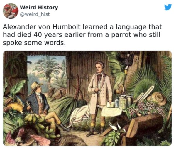 Weird History Facts