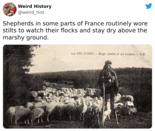 Weird History Facts