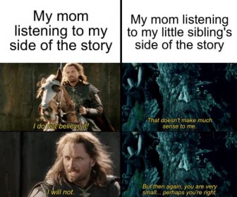 LOTR Memes