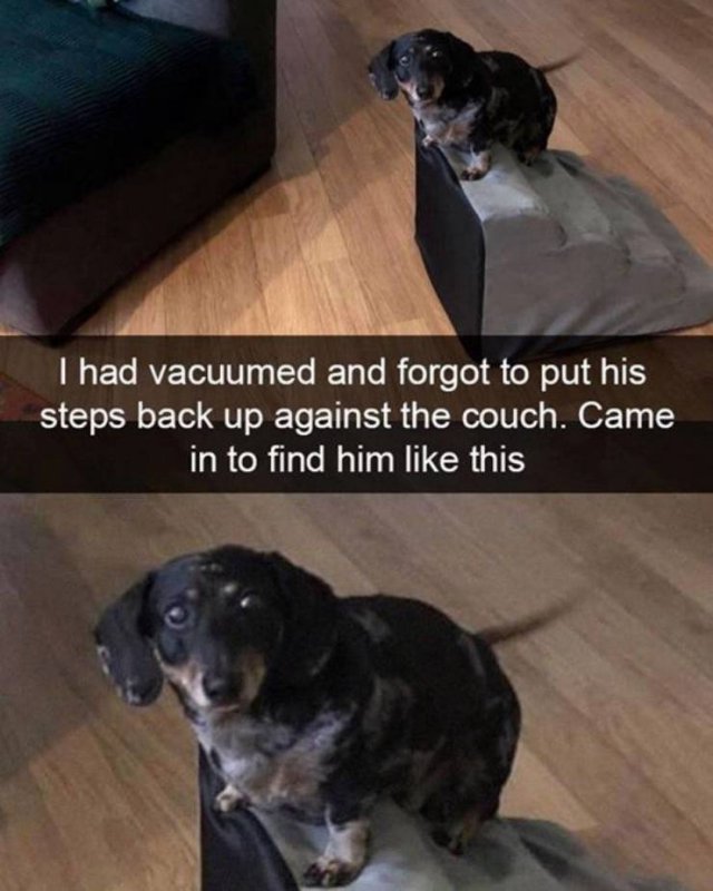 Wholesome Stories, part 74
