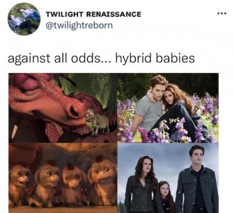 'Shrek' And 'Twilight' Have A Lot In Common