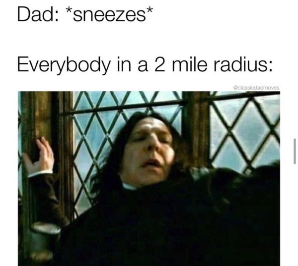 Dad Memes, part 9
