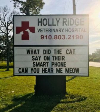 Veterinarian Jokes