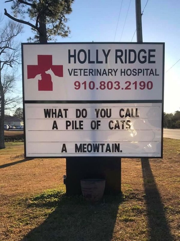 Veterinarian Jokes