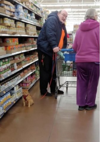 Walmart Visitors