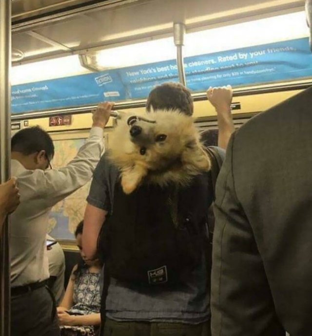 Subway Passengers