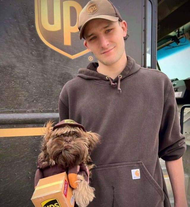 UPS Drivers And Cute Dogs