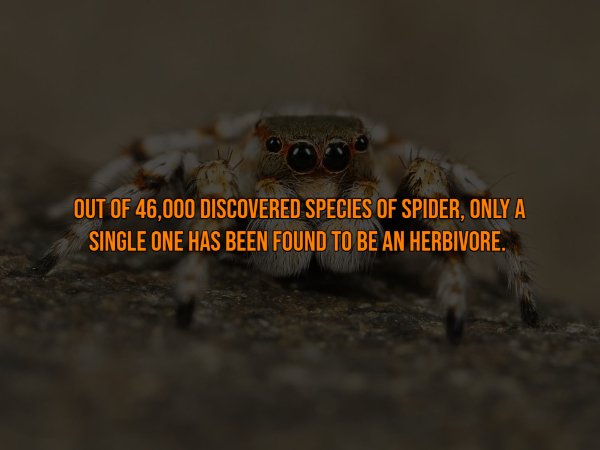 Interesting Facts, part 136