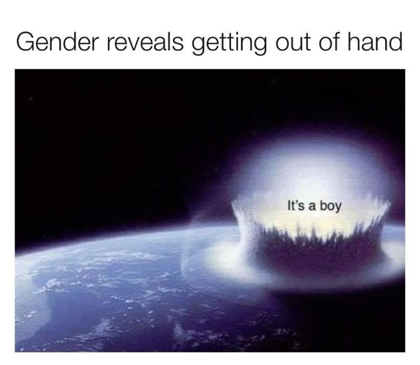 Gender Reveal Memes, part 2
