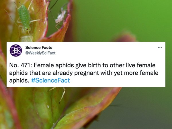 Science Facts, part 3