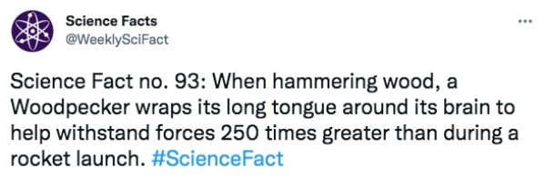 Science Facts, part 3