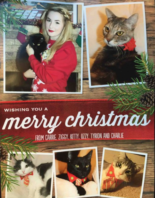 Christmas Cards From Single People