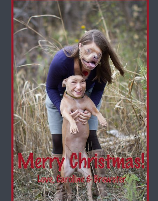 Christmas Cards From Single People