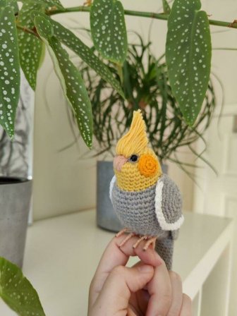 Amazing Crochet Designs