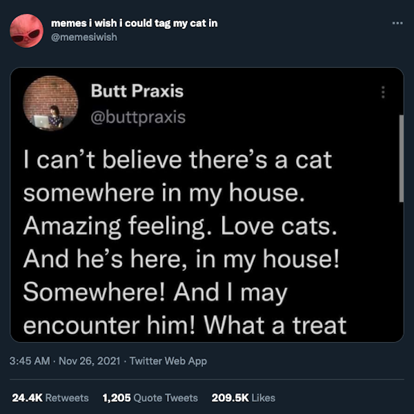 Cat Humor, part 3