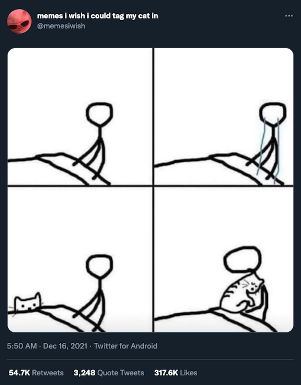 Cat Humor, part 3