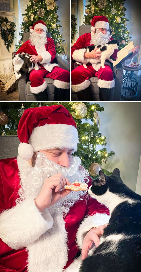 Christmas With Pets
