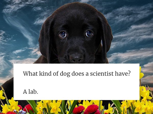 Science Jokes