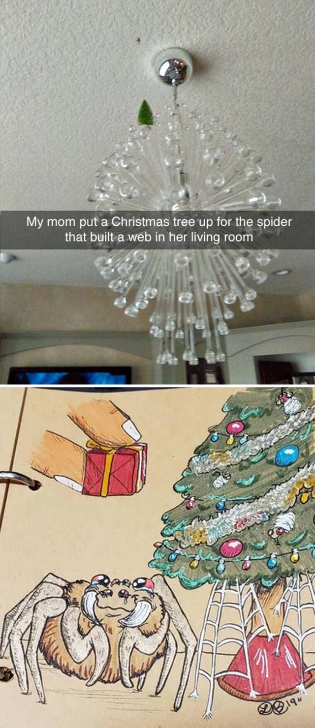 Christmas Wonders