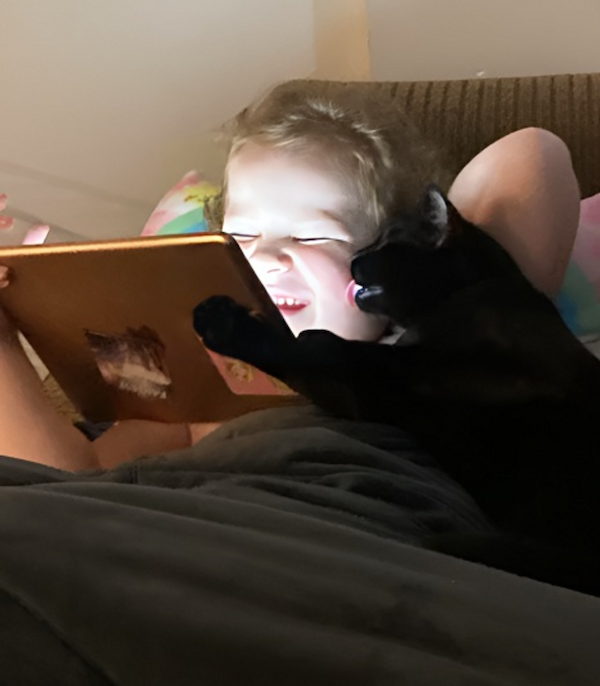 A Friendship Between Kids And Pets