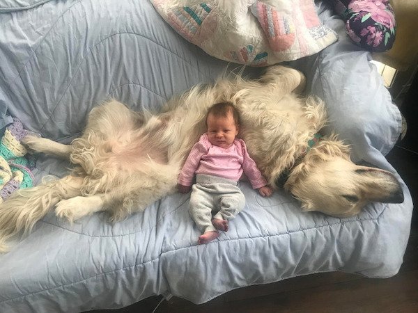 A Friendship Between Kids And Pets