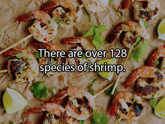 Food Facts, part 7