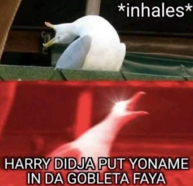 Memes About Harry Potter