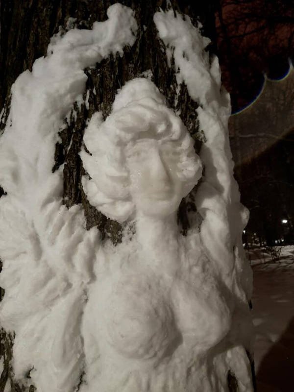 Snow Sculptures On Trees