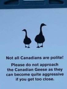 Jokes About Canada
