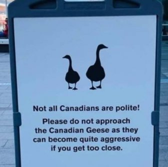 Jokes About Canada