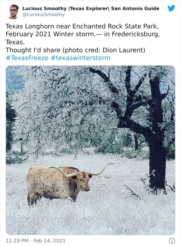 'Snowmageddon' In Texas