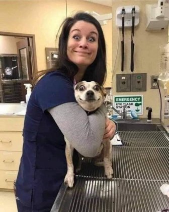 Funny Animals At The Vet