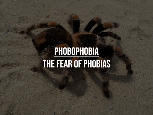 Unusual Phobias