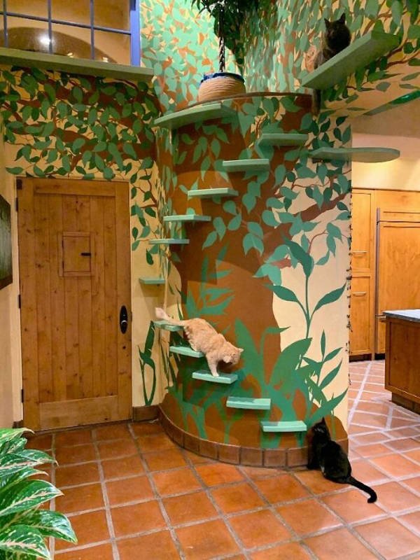 Perfect Cat House