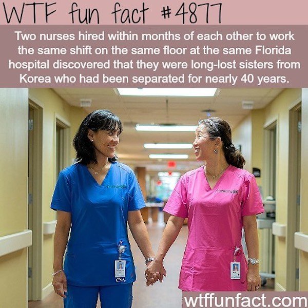 Interesting Facts, part 147