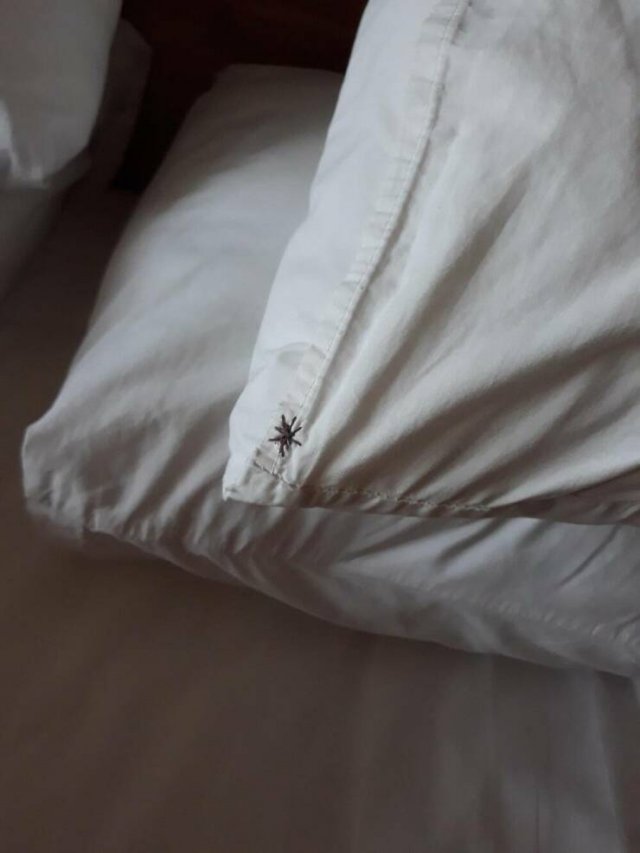 Annoying Situations In Hotels