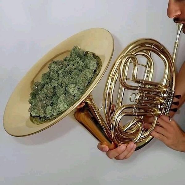 Odd Musical Instruments