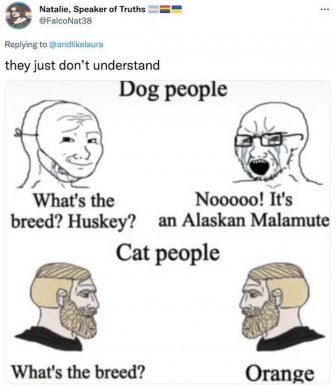 Jokes About Animals