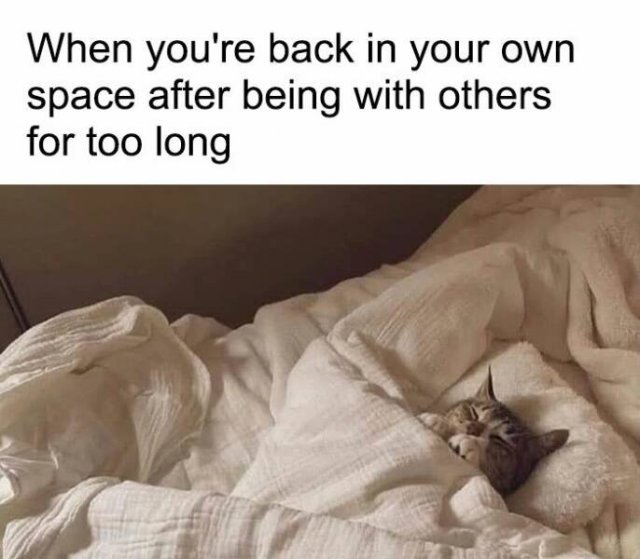 Memes For Introverts, part 2