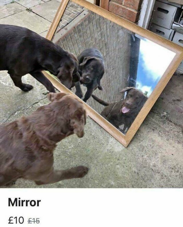 They're Trying to Sell Mirrors