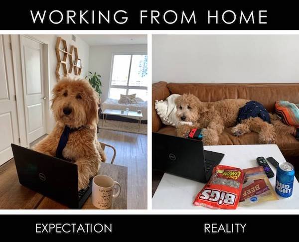 Expectations Against Reality, part 3