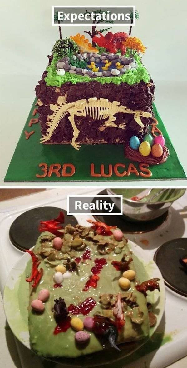 Expectations Against Reality, part 10