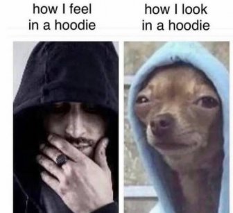 Memes With Dogs