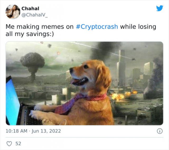 Memes About Crypto Crash